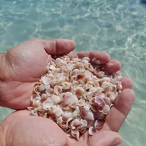 Unico E Aconchegante! Cabo Frio